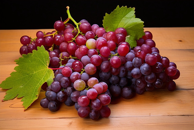 Vitis vinifera — grape seed